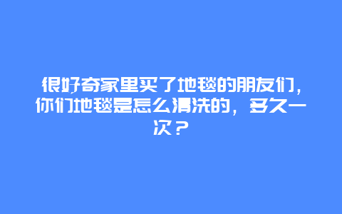 很好奇家里买了地毯的朋友们，你们地毯是怎么清洗的，多久一次？