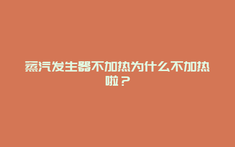 蒸汽发生器不加热为什么不加热啦？