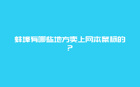 蚌埠有哪些地方卖上网本鼠标的?