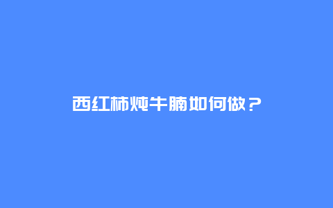 西红柿炖牛腩如何做？