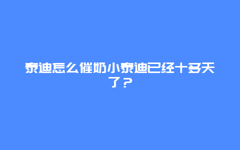 泰迪怎么催奶小泰迪已经十多天了？