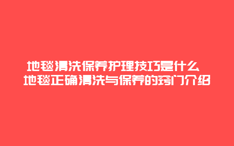 地毯清洗保养护理技巧是什么 地毯正确清洗与保养的窍门介绍