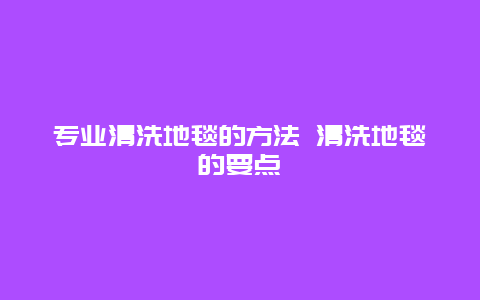 专业清洗地毯的方法 清洗地毯的要点