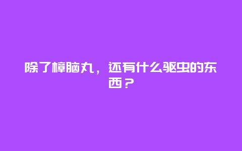 除了樟脑丸，还有什么驱虫的东西？