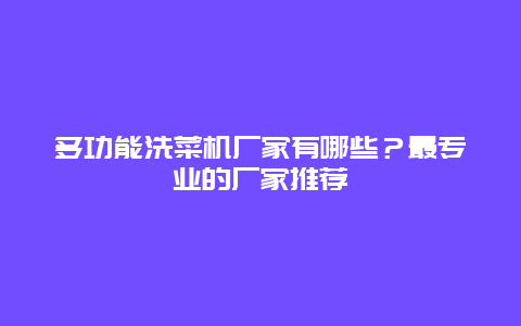 多功能洗菜机厂家有哪些？最专业的厂家推荐