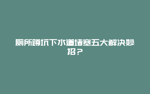 厕所蹲坑下水道堵塞五大解决妙招？_http://www.365jiazheng.com_保洁卫生_第1张