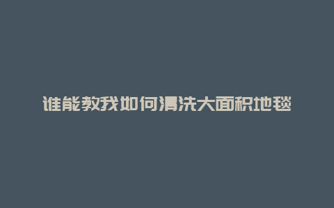 谁能教我如何清洗大面积地毯