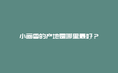 小茴香的产地是哪里最好？