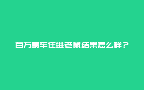 百万豪车住进老鼠结果怎么样？