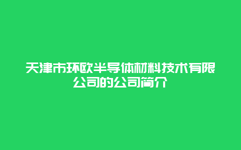 天津市环欧半导体材料技术有限公司的公司简介