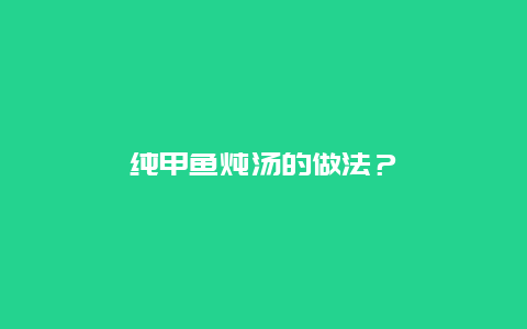 纯甲鱼炖汤的做法？