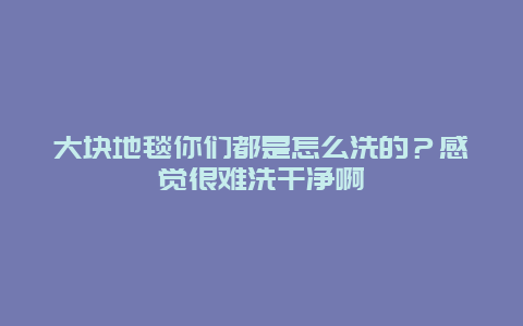 大块地毯你们都是怎么洗的？感觉很难洗干净啊