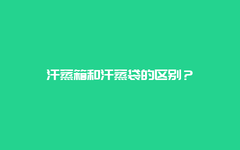 汗蒸箱和汗蒸袋的区别？