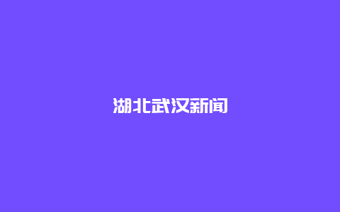 湖北武汉新闻