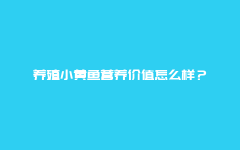 养殖小黄鱼营养价值怎么样？