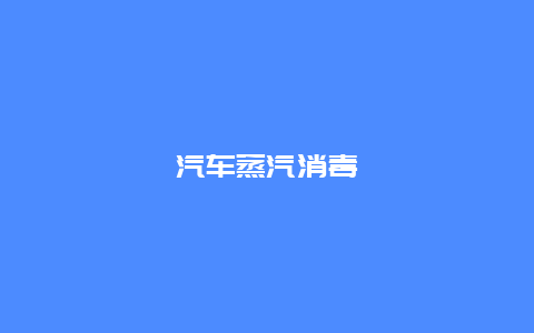 汽车蒸汽消毒