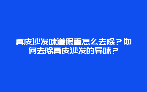 真皮沙发味道很重怎么去除？如何去除真皮沙发的异味？_http://www.365jiazheng.com_保洁卫生_第1张