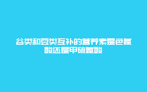 谷类和豆类互补的营养素是色氨酸还是甲硫氨酸