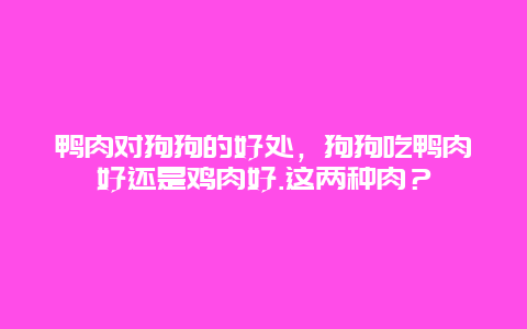 鸭肉对狗狗的好处，狗狗吃鸭肉好还是鸡肉好.这两种肉？