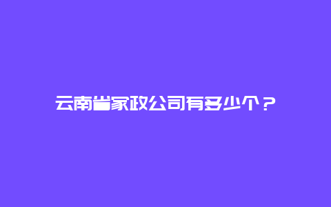 云南省家政公司有多少个？