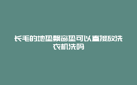 长毛的地垫飘窗垫可以直接放洗衣机洗吗