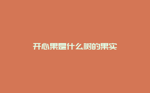 开心果是什么树的果实