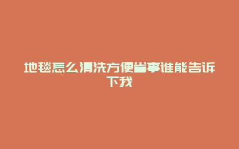 地毯怎么清洗方便省事谁能告诉下我