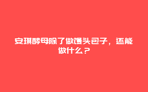 安琪酵母除了做馒头包子，还能做什么？