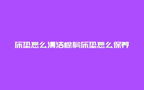 床垫怎么清洁棕榈床垫怎么保养_http://www.365jiazheng.com_保洁卫生_第1张