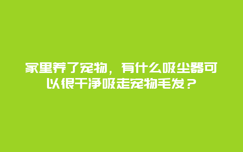 家里养了宠物，有什么吸尘器可以很干净吸走宠物毛发？