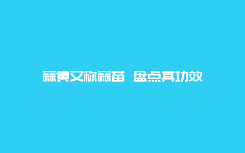 蒜黄又称蒜苗 盘点其功效