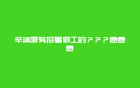 辛集哪有招暑假工的？？？急急急