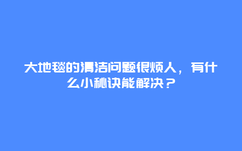 大地毯的清洁问题很烦人，有什么小秘诀能解决？