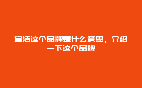 宜洁这个品牌是什么意思，介绍一下这个品牌