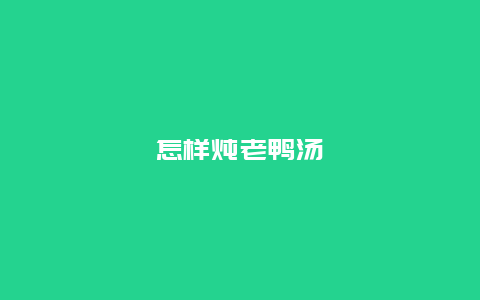 怎样炖老鸭汤