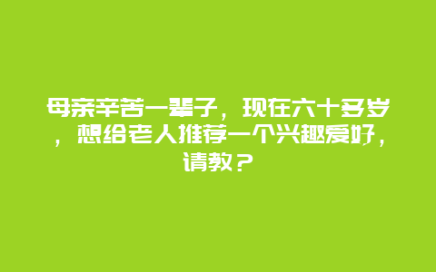 母亲辛苦一辈子，现在六十多岁，想给老人推荐一个兴趣爱好，请教？