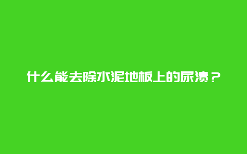 什么能去除水泥地板上的尿渍？