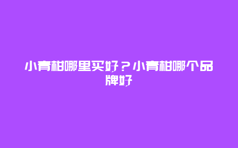 小青柑哪里买好？小青柑哪个品牌好