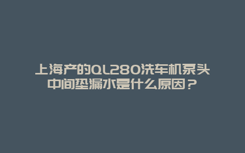 上海产的QL280洗车机泵头中间垫漏水是什么原因？_http://www.365jiazheng.com_保洁卫生_第1张