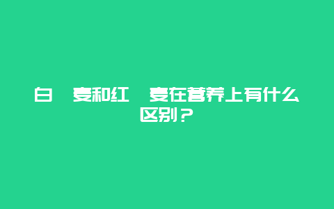 白藜麦和红藜麦在营养上有什么区别？