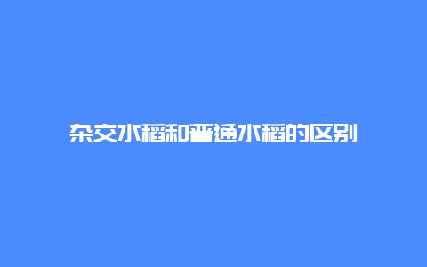 杂交水稻和普通水稻的区别