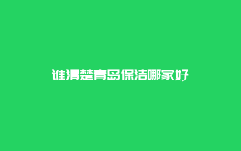 谁清楚青岛保洁哪家好