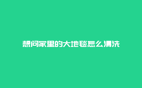 想问家里的大地毯怎么清洗