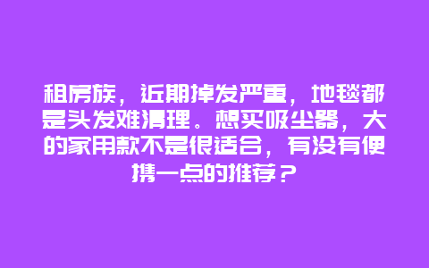 租房族，近期掉发严重，地毯都是头发难清理。想买吸尘器，大的家用款不是很适合，有没有便携一点的推荐？