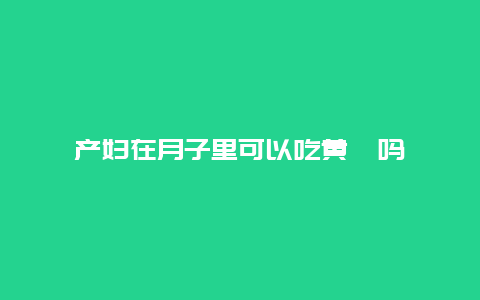 产妇在月子里可以吃黄芪吗