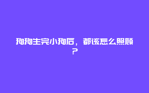 狗狗生完小狗后，都该怎么照顾？