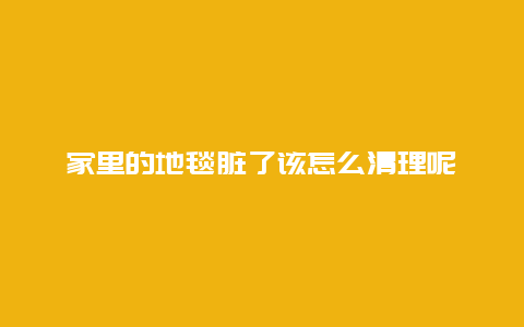 家里的地毯脏了该怎么清理呢