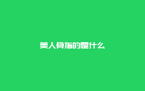 美人骨指的是什么