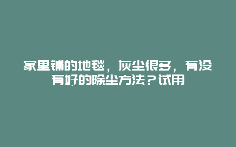 家里铺的地毯，灰尘很多，有没有好的除尘方法？试用