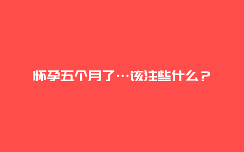 怀孕五个月了…该注些什么？